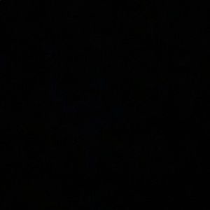 Meet your Posher, Tristin